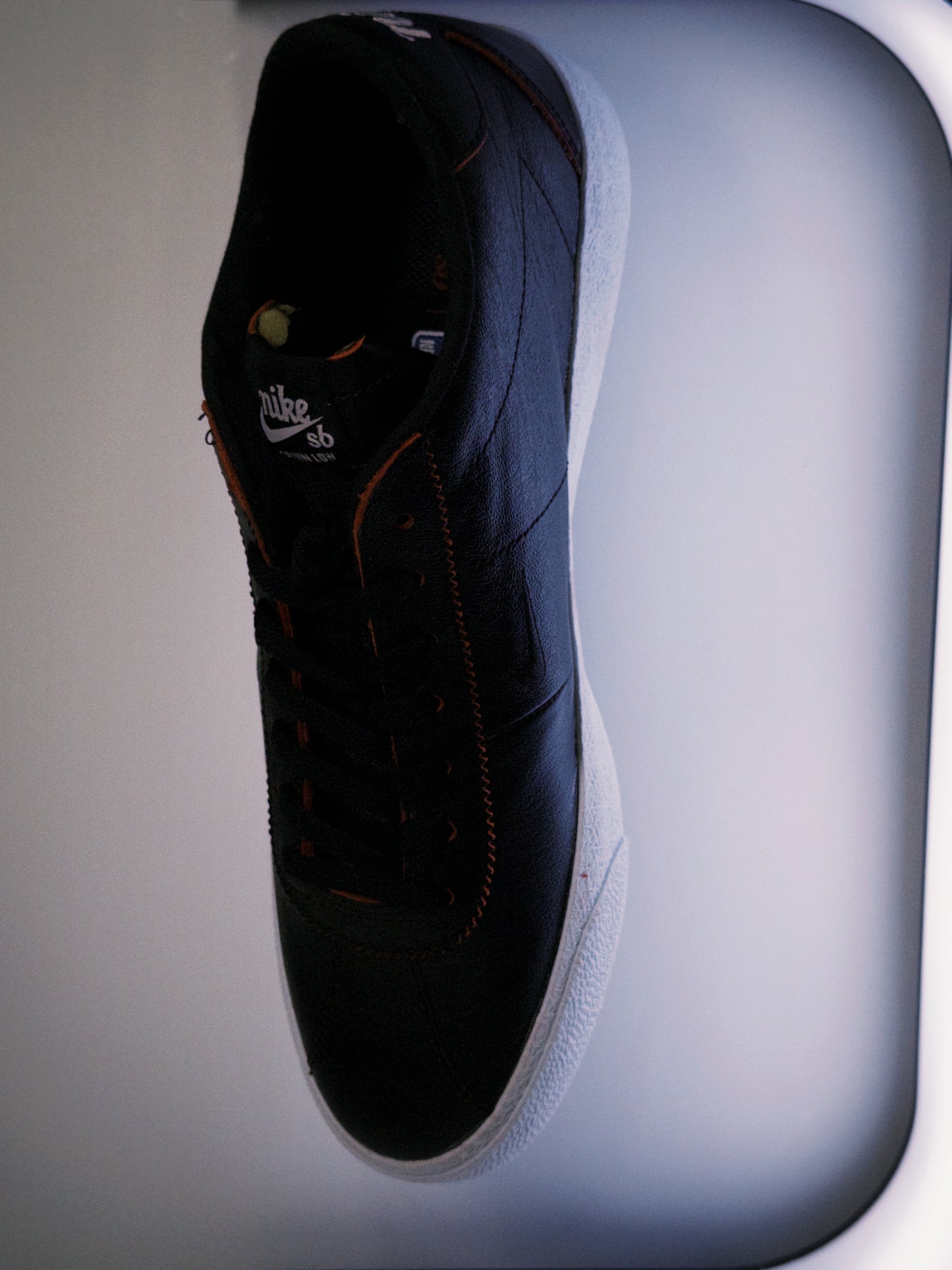 Nike SB Zoom Bruin NBA