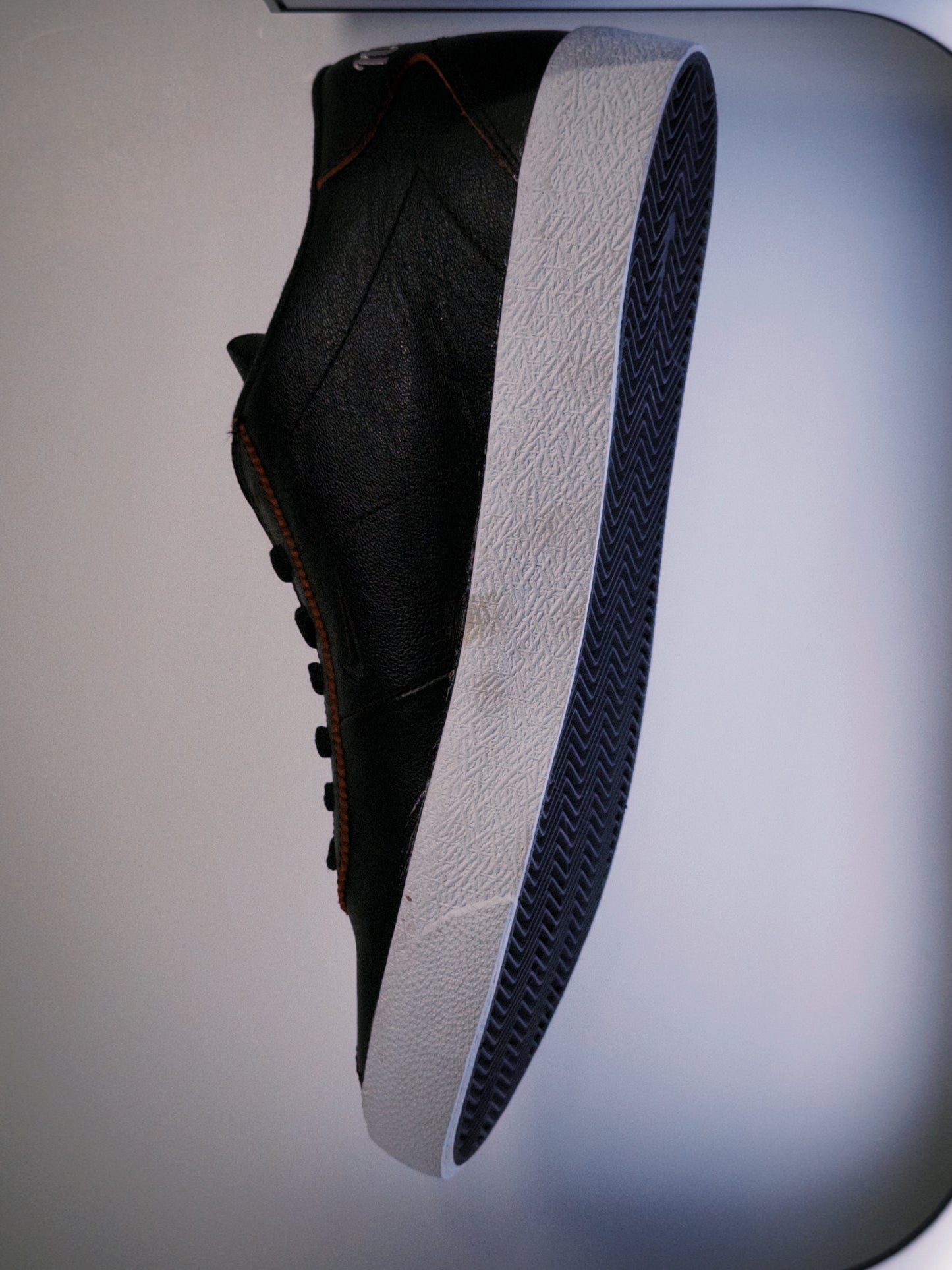 Nike SB Zoom Bruin NBA